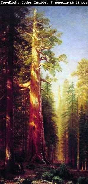 Albert Bierstadt The Great Trees, Mariposa Grove, California